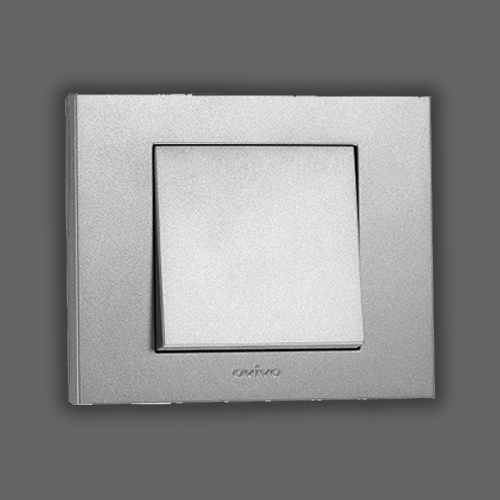 SWITCH - SILVER