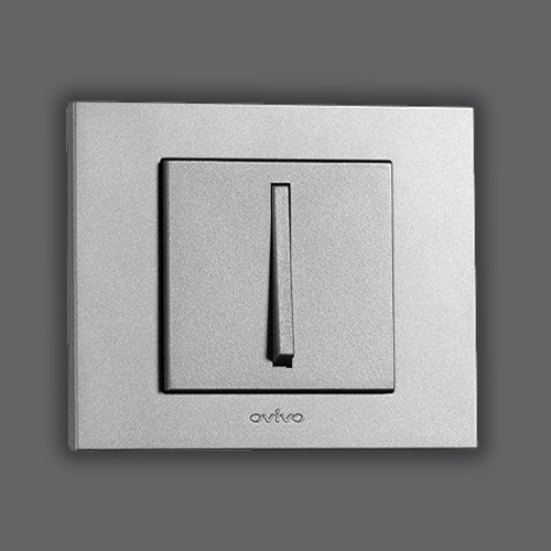 SWITCH - SILVER